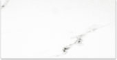 Polished Infatuation 24X48 | Gramercy Kitchen and Bath