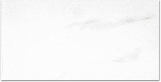 Polished Infatuation 24X48 | Gramercy Kitchen and Bath