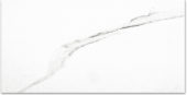 Polished Infatuation 24X48 | Gramercy Kitchen and Bath