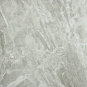 Polished Inspiration 24X24 | Gramercy Kitchen and Bath