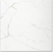 Polished Love 24X24 | Gramercy Kitchen and Bath