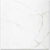 Polished Love 24X24 | Gramercy Kitchen and Bath