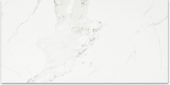 Polished Love 24X48 | Gramercy Kitchen and Bath