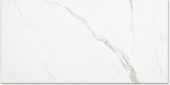 Polished Love 24X48 | Gramercy Kitchen and Bath