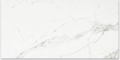 Polished Love 24X48 | Gramercy Kitchen and Bath