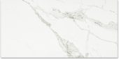 Polished Love 24X48 | Gramercy Kitchen and Bath