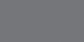 Polished Tokyo 12X24 | Gramercy Kitchen and Bath