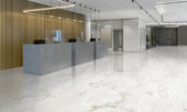 Rendezvous White Polished 24x48 | Gramercy Kitchen and Bath