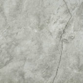 Roma Argento Honed 24X24 | Gramercy Kitchen and Bath