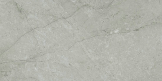 Roma Argento Honed 24X48 | Gramercy Kitchen and Bath