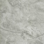 Roma Argento Honed 32X32 | Gramercy Kitchen and Bath
