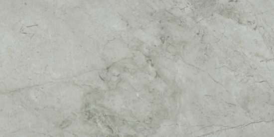 Roma Argento Polished 12X24 | Gramercy Kitchen and Bath