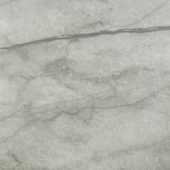 Roma Argento Polished 24X24 | Gramercy Kitchen and Bath