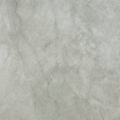 Roma Argento Polished 24X24 | Gramercy Kitchen and Bath