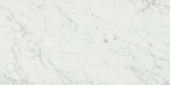San Giulio Gioia Polished 24X48 | Gramercy Kitchen and Bath