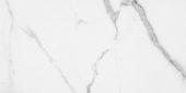Statuario Venezia Honed 12X24 | Gramercy Kitchen and Bath