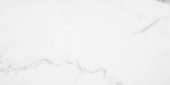 Statuario Venezia Honed 24X48 | Gramercy Kitchen and Bath