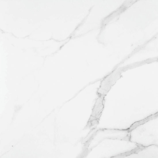 Statuario Venezia Polished 24X24 | Gramercy Kitchen and Bath