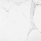 Statuario Venezia Polished 24X24 | Gramercy Kitchen and Bath