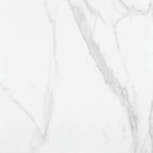 Statuario Venezia Polished 24X24 | Gramercy Kitchen and Bath