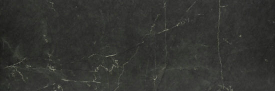 Tivoli Nero Polished 4X12 | Gramercy Kitchen and Bath