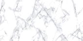 Treasure Ice White Marble 12x24 Polished | Gramercy Kitchen and Bath