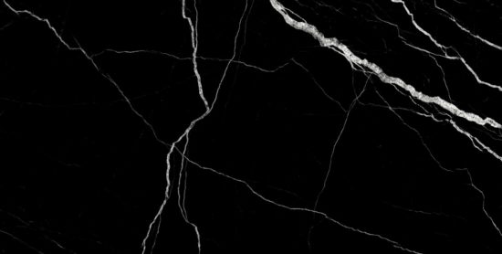 Treasure Midnight Nero 12x24 Polished | Gramercy Kitchen and Bath