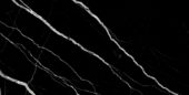 Treasure Midnight Nero 24x48 Polished | Gramercy Kitchen and Bath
