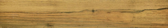 Warm Honey 6X36 | Gramercy Kitchen and Bath