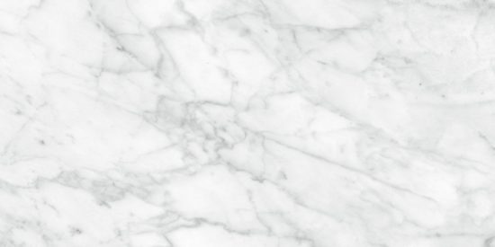 Plata 12x24 Carrara Abisso Matte | Gramercy Kitchen and Bath