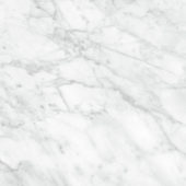 Plata 24x24 Carrara Abisso Matte | Gramercy Kitchen and Bath