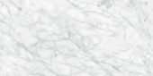 Plata 24x48 Carrara Abisso Polished | Gramercy Kitchen and Bath