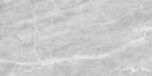 Plata 24x48 Perla Grigia Matte | Gramercy Kitchen and Bath