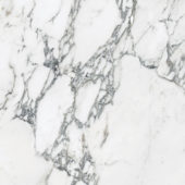 Royal Stoneworks 24X24 Italian Arabescato Honed | Gramercy Kitchen and Bath