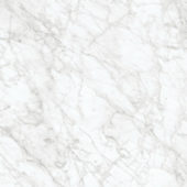 Royal Stoneworks 24X24 Old World Bianco Polished | Gramercy Kitchen and Bath