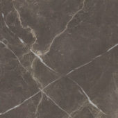 Royal Stoneworks 24X24 Regal Brown Marble Honed | Gramercy Kitchen and Bath