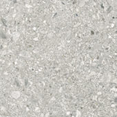Royal Stoneworks 24X24 Regal Fossil Vein Org | Gramercy Kitchen and Bath