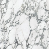 Royal Stoneworks 36X36 Italian Arabescato Honed | Gramercy Kitchen and Bath
