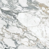 Royal Stoneworks 48X48 Italian Arabescato Honed | Gramercy Kitchen and Bath