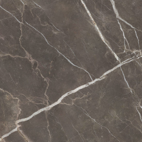 Royal Stoneworks 48X48 Regal Brown Marble Honed | Gramercy Kitchen and Bath