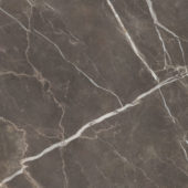 Royal Stoneworks 48X48 Regal Brown Marble Polished | Gramercy Kitchen and Bath