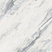 Royal Stoneworks 48X48 Regal White Vein Honed | Gramercy Kitchen and Bath